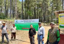 KPH Pasuruan Tutup Obyek Wisata Cemara Alam Sari