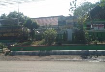 Diduga Ketua LMDH Jadi Dalang Ilegal Logging KPH Jember