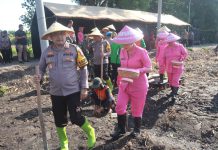 Dukung Ketahanan Pangan, Polres Pasuruan Tanam Jagung di Rembang dan Wonorejo
