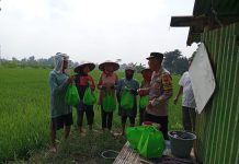 Kapolsek Winongan Dampingi Petani Dukung Ketahanan Pangan