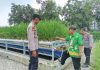 Polsek Wonorejo Genjot Ketahanan Pangan dengan Konsep Hidroponik dan Lele