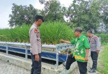 Polsek Wonorejo Genjot Ketahanan Pangan dengan Konsep Hidroponik dan Lele
