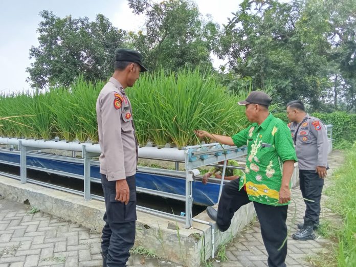 IMG 20250411 WA0014