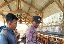 Kapolres Pasuruan Apresiasi Inisiatif Bhabinkamtibmas Desa Wedoro Pandaan Kembangkan Pangan Lokal