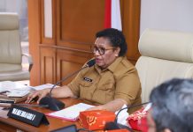 Wamendagri Ribka Imbau Pemprov Papua Sukseskan Pemungutan Suara Ulang Pilkada