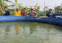 Implementasi Asta Cita, Polsek Gempol Gandeng Gapoktan Kembangkan Budidaya Lele