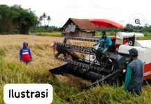 Diduga Kuasai Untuk Pengurus Saja Kelompok Tani Sumber Tanggul Dilaporkan Ke polres Mojokerto