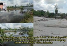 Warga Menjerit! Tambang Pasir Silika di Lampung Timur Ancam Keselamatan dan Rusak Lingkungan, PPWI Desak Penegakan Hukum!