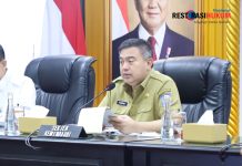 Pemerintah Minta Pemda Optimalisasi Sawah Tadah Hujan untuk Swasembada Pangan