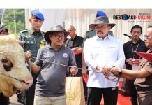 Penyerahan Simbolis Hewan Qurban Hari Raya Idul Adha 1446 Hijriah di Kejaksaan Agung