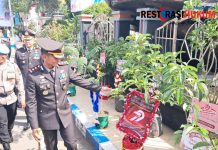 Dukung Ketahanan Pangan Ratusan Bibit Tanaman Produktif Jadi Ucapan Selamat Hari Bhayangkara ke -79 di Ponorogo