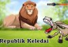 Republik Keledai