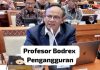 Komaruddin Hidayat Golongan Profesor Bodrex Pengangguran, Makanya Cari Kerja di Dewan Pers