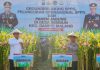 Panen Raya Jagung di Malang, Wujud Nyata Komitmen Polri dalam Ketahanan Pangan Nasional