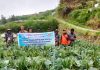 Perkuat Petani Milenial Kabupaten Jayawijaya Mendorong Magang/Bintek Kabupaten Magelang Provinsi Jawa Tengah