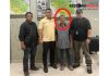Tim SIRI Kejaksaan Agung Berhasil Amankan DPO Nursahir Perkara Korupsi di Riau