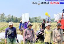 Direktur Idensos Densus 88 AT Lakukan Kunjungan Kerja ke PT Sang Hyang Seri Subang, Jalin Silaturahmi dengan Eks Napiter
