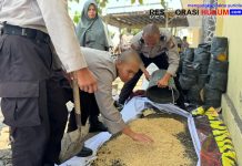 Wujudkan Kampus Hijau, Ratusan Calon Bintara Polri Dalami Ilmu Pertanian di SPN Polda Jatim