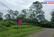 Satgas PKH Gelar Edukasi Bela Negara dan Bangun Pos Penjagaan di Kawasan TNTN