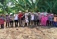 Dukung Swasembada Pangan, Polres Pasuruan Gelar Penanaman Jagung Serentak Kuartal IV di Desa Martopuro