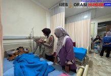 Polda Jatim Beri Trauma Healing Korban Runtuhnya Bangunan Ponpes Al-Khoziny Sidoarjo