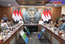 Pada Rakortas Tingkat Menteri, Mendagri Uraikan Peran Pemda Dukung Pelaksanaan Program PSEL