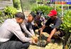 Cegah Abrasi, Siswa Diktukba SPN Polda Jatim Tanam Mangrove dan Berbagi Bansos