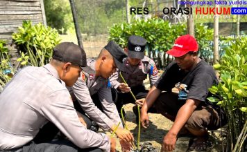 Cegah Abrasi, Siswa Diktukba SPN Polda Jatim Tanam Mangrove dan Berbagi Bansos