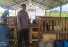Aipda Agus, Polisi Desa yang Sukses Jadi Peternak Domba