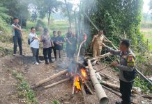 Polres Pasuruan Bubarkan dan Bakar Arena Judi Sabung Ayam di Pandaan, Tegaskan Tanpa Toleransi terhadap Perjudian