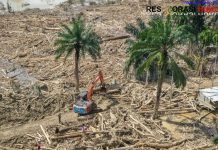 Bareskrim Selidiki Dugaan Penebangan Liar di Hulu Sungai Tamiang