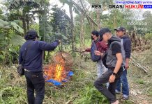 Polresta Malang Kota Bongkar Arena Judi Sabung Ayam