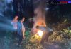 Polres Malang Kembali Bongkar Lokasi Judi Sabung Ayam di Sumberpucung