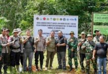 Satgas PKH Kembali Kuasai Lahan PT Sukses Jaya Wood