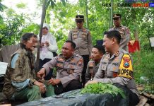Polri Peduli : Polres Jember Evakuasi Kakek Tuna Wisma dari Hutan Jubung