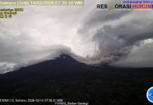 Gunung Semeru Erupsi, Luncurkan Awan Panas 6 Km