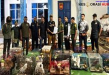 Tim Gabungan Bea Cukai Gagalkan Ekspor Ilegal Satwa Dilindungi