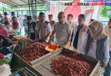 Satgas Saber Pangan Pantau Harga Jelang Idul Fitri, Pasokan Aman