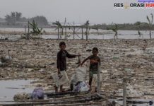 Satgas PRR Genjot Revitalisasi Tambak Pascabencana Sumatera