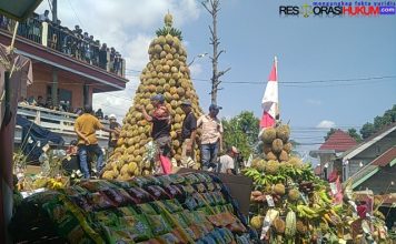 Tumpeng Duren Meriahkan Selamatan Desa Kronto Kecamatan Lumbang