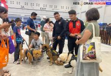 Polisi Satwa Meriahkan Pet Adventure Wonderland, Edukasi Peran K-9 Tarik Antusiasme Warga
