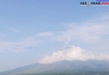 Gunung Semeru Erupsi Dua Kali Rabu Pagi, Kolom Abu Capai 1.000 Meter