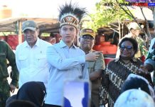 Dampingi Wapres Gibran ke Papua, Wamendagri Ungkap Progres Pesat Pembangunan DOB