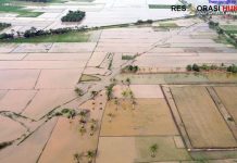 Ribuan Hektare Sawah Terdampak Bencana Dipulihkan demi Ketahanan Pangan