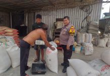 Polsek Kejayan Kawal Pengiriman Hasil Panen Jagung ke Bulog untuk Dukung Ketahanan Pangan Nasional
