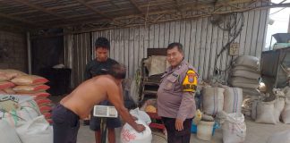 Polsek Kejayan Kawal Pengiriman Hasil Panen Jagung ke Bulog untuk Dukung Ketahanan Pangan Nasional
