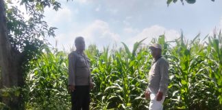 Polisi Turun ke Sawah, Pantau Tanaman Hortikultura demi Ketahanan Pangan Nasional