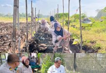 Dukung Program Ketahanan Pangan Presiden, Polres Pasuruan Bersama SMKN 1 Purwosari Kembangkan Budidaya Uwi Ungu