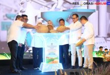 Wamendagri Bima Arya Minta Kepala Daerah Aktif Pantau Harga dan Distribusi Pangan