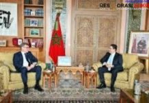 Jerman Tegaskan Dukungan Inisiatif Otonomi Sahara Maroko, Siap Perkuat Kerja Sama Diplomatik dan Ekonomi